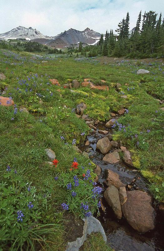 1996-09 Goat Rocks BkPk w Jeanne Steve 02.jpg